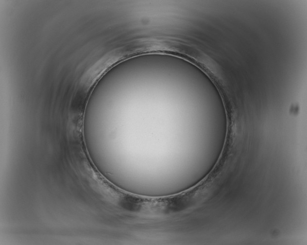 X0000111230793200907091334