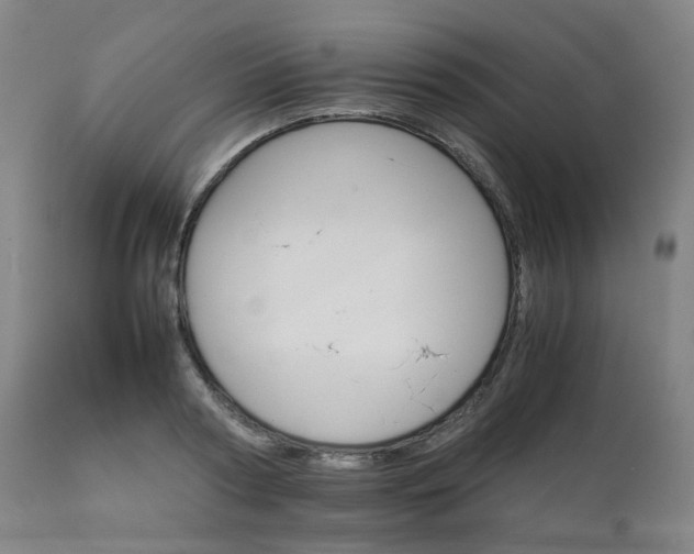 X0000111230794200907091334