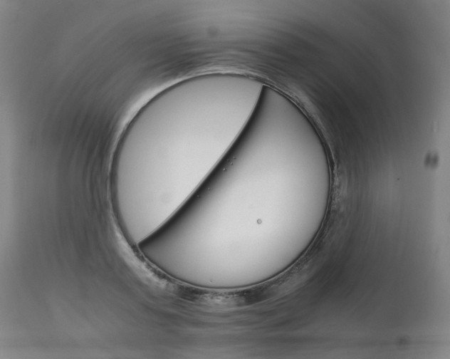 X0000111230795200907091334