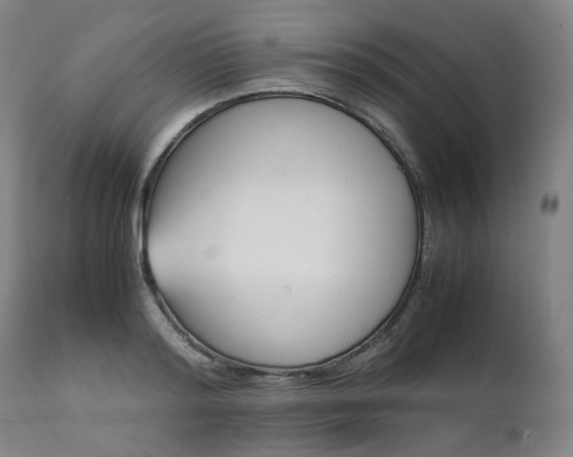 X0000111230796200907091334