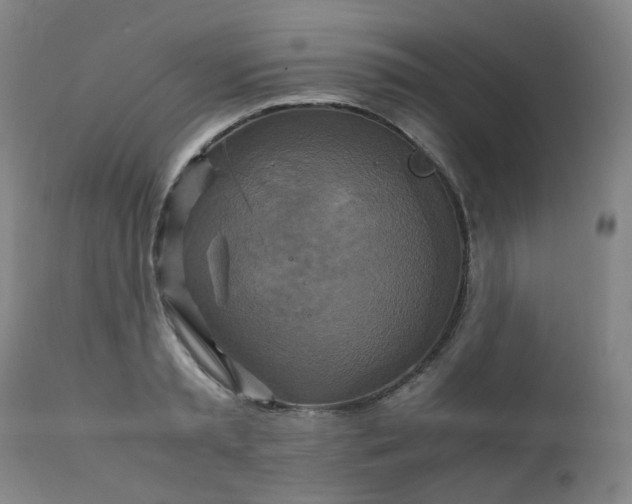 X0000111230797200907091334