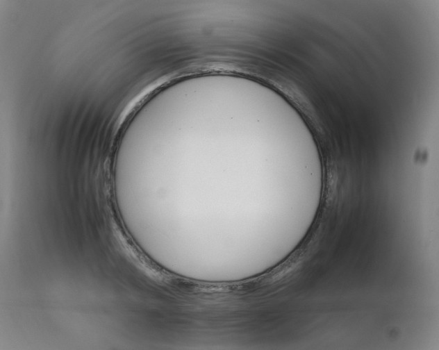 X0000111230798200907091334