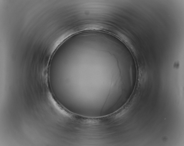 X0000111230802200907091334