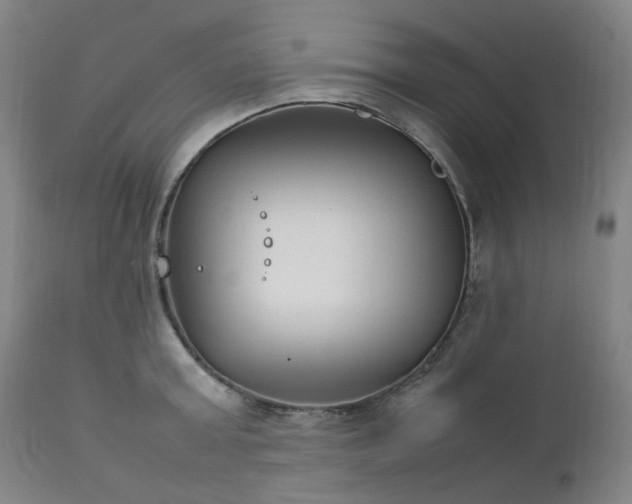 X0000111230803200907091334