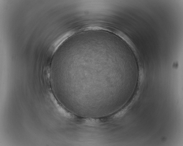 X0000111230809200907091334