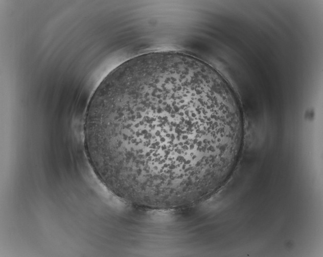X0000111230810200907091334