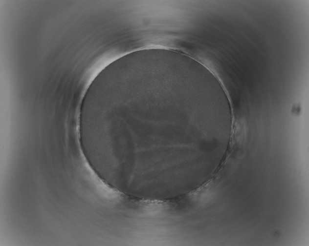 X0000111230811200907091334