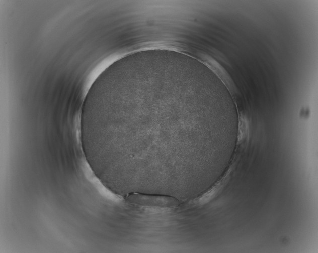 X0000111230812200907091334