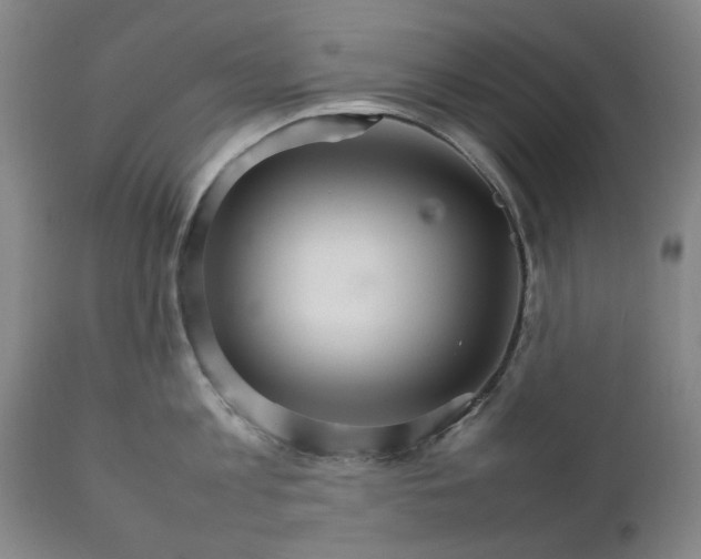 X0000111230813200907091334