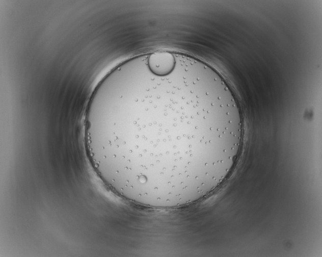 X0000111230814200907091334