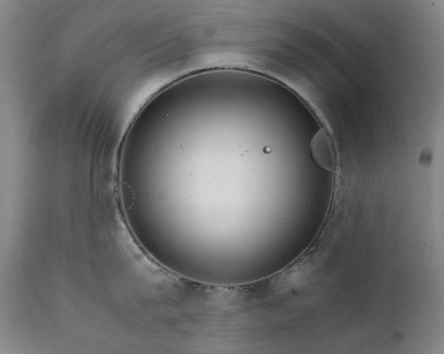 X0000111230815200907091334