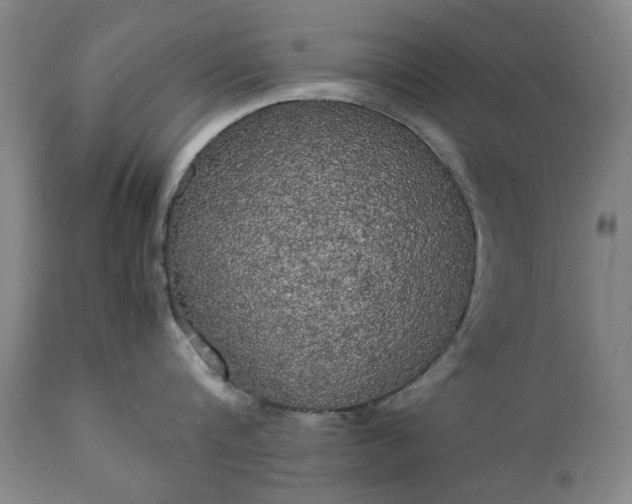 X0000111230816200907091334