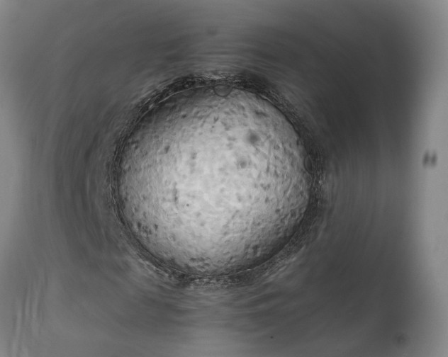 X0000111230817200907091333