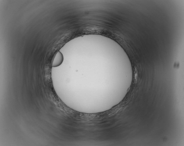 X0000111230819200907091333