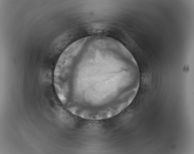 X0000111230820200907091333