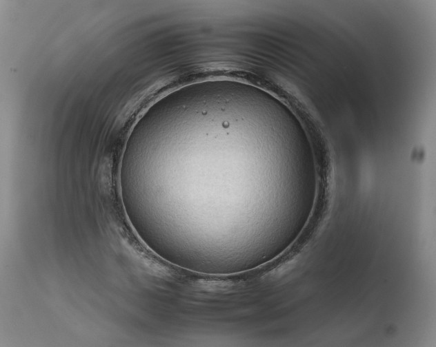 X0000111230825200907091333