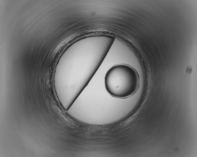 X0000111230826200907091333