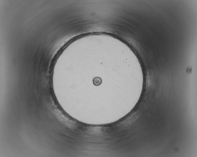 X0000111230828200907091333