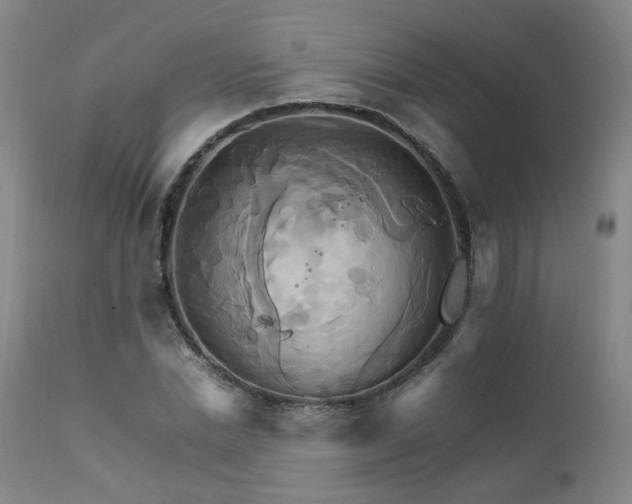 X0000111230830200907091333