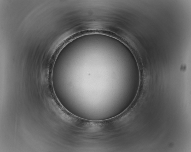 X0000111230831200907091333