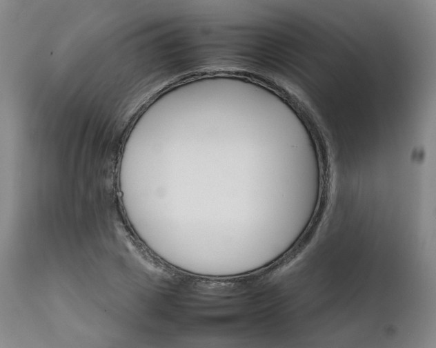 X0000111230833200907091333