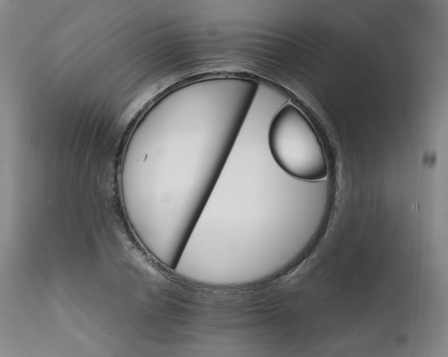 X0000111230834200907091333