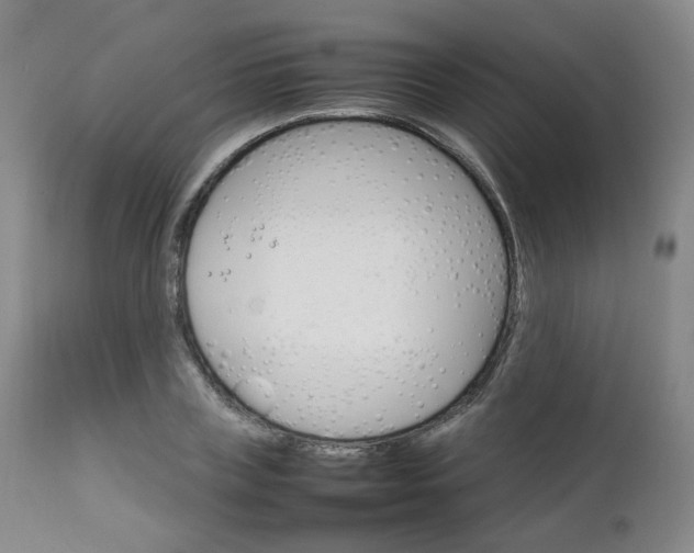 X0000111230835200907091333