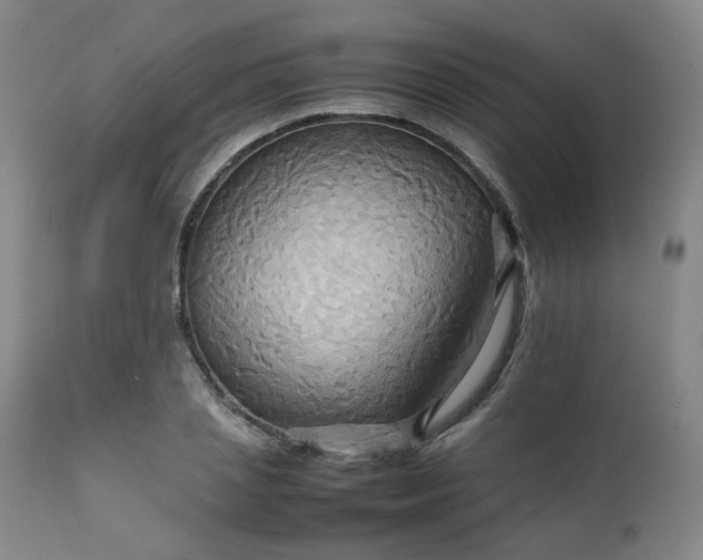 X0000111230837200907091333