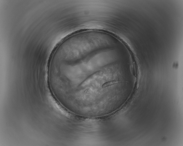X0000111230840200907091333