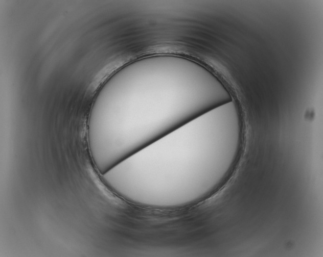 X0000111230841200907091334
