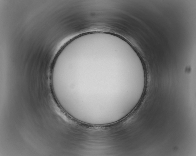 X0000111230846200907091334