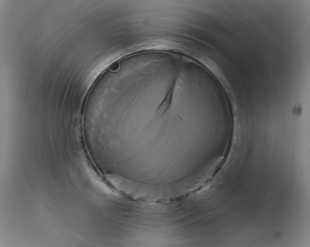 X0000111230850200907091334