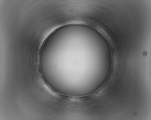 X0000111230852200907091334