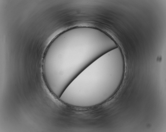 X0000111230853200907091334