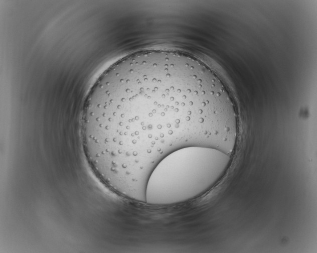 X0000111230855200907091334