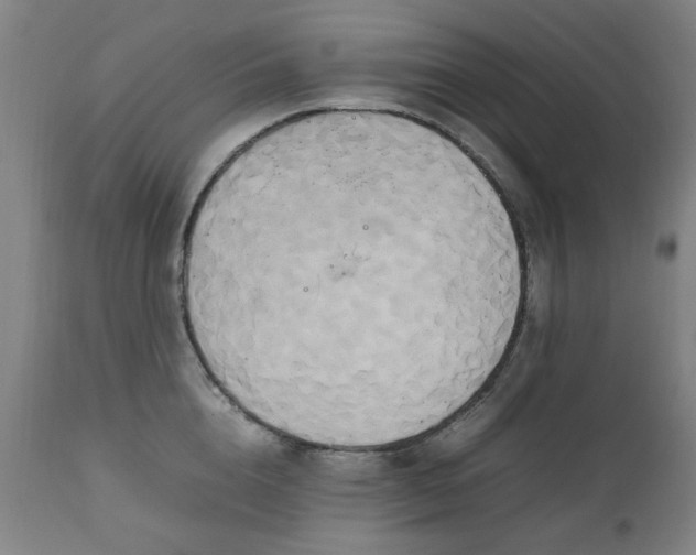 X0000111230856200907091334