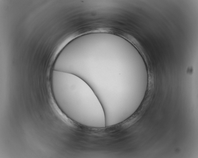 X0000111230859200907091334