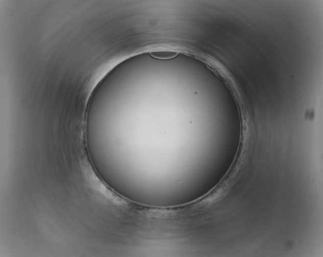 X0000111230860200907091334