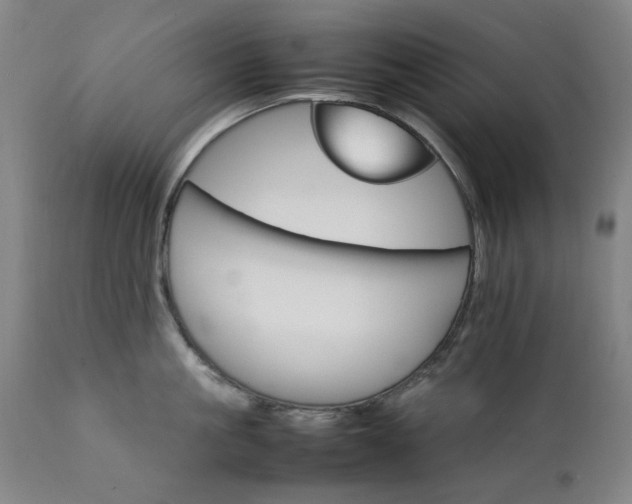 X0000111230861200907091334