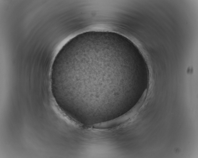 X0000111230864200907091334