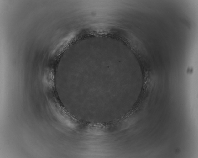 X0000111230866200907091333