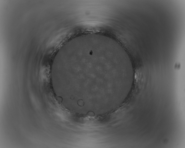 X0000111230867200907091333