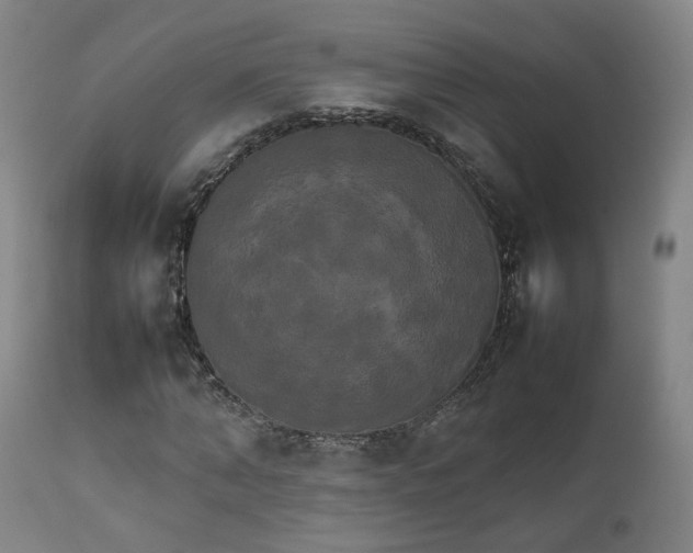 X0000111230870200907091333