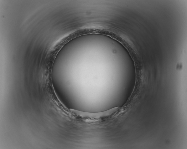 X0000111230872200907091333
