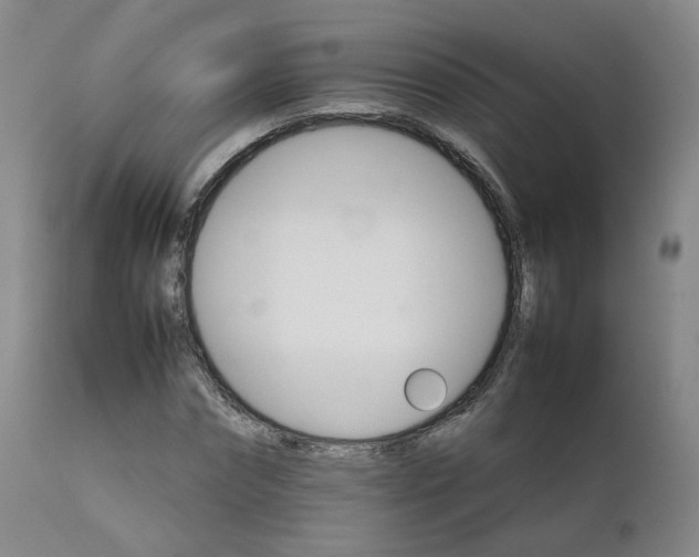 X0000111230874200907091333