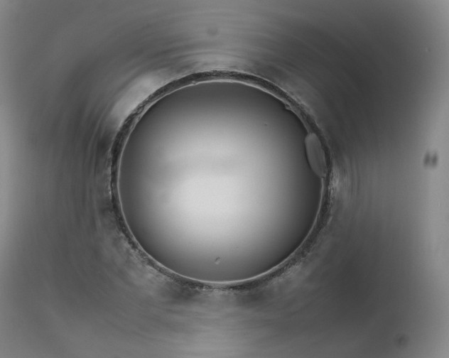 X0000111230877200907091333