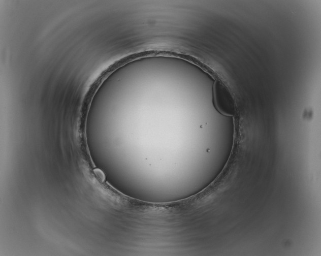 X0000111230880200907091333