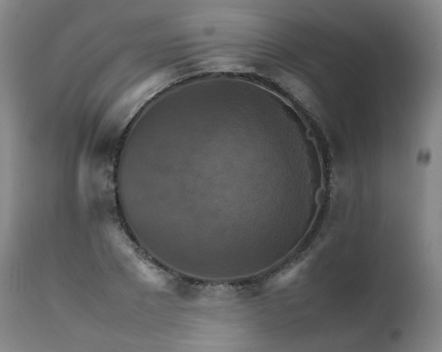 X0000111230881200907091333