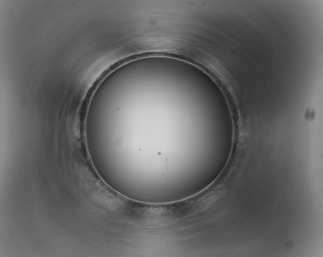 X0000111230883200907091333