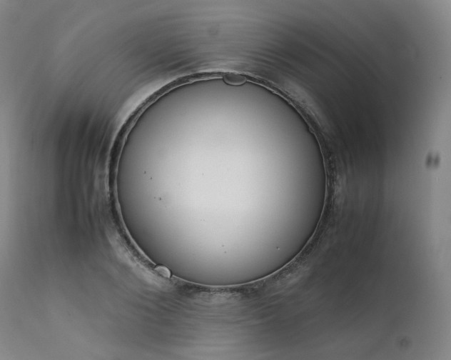X0000111230884200907091333